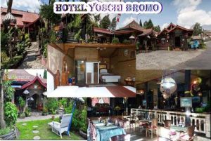 Hotel Yoschi Bromo